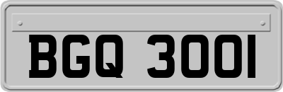 BGQ3001