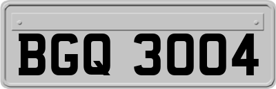 BGQ3004