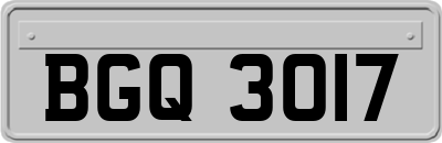 BGQ3017