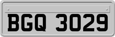 BGQ3029