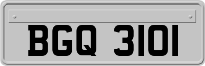 BGQ3101