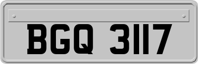 BGQ3117