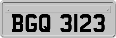 BGQ3123