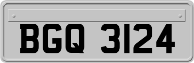 BGQ3124