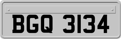 BGQ3134