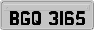 BGQ3165