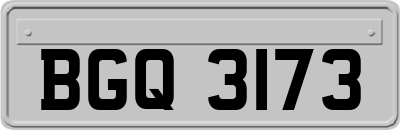 BGQ3173