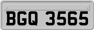 BGQ3565