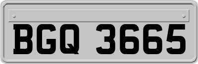 BGQ3665