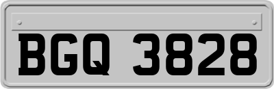 BGQ3828