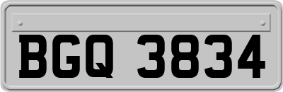 BGQ3834