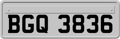 BGQ3836