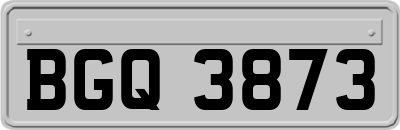 BGQ3873