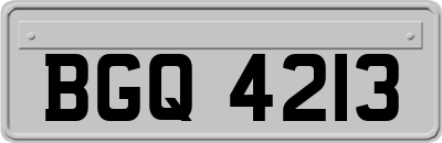 BGQ4213