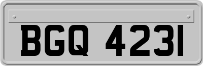 BGQ4231