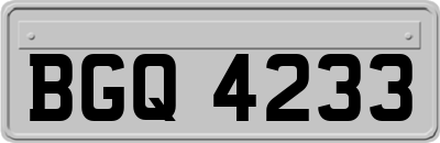 BGQ4233