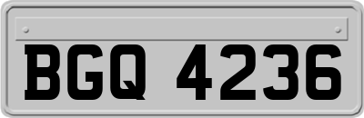 BGQ4236