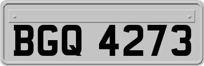 BGQ4273