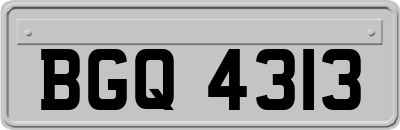 BGQ4313