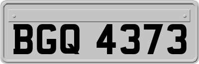 BGQ4373