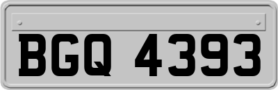 BGQ4393