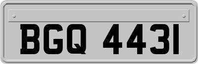 BGQ4431