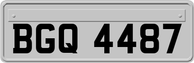 BGQ4487