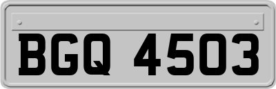 BGQ4503