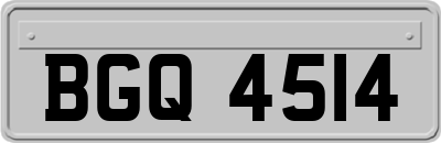 BGQ4514