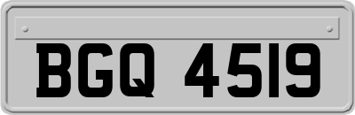BGQ4519