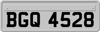 BGQ4528