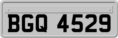 BGQ4529