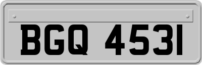 BGQ4531