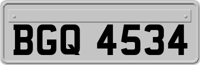 BGQ4534
