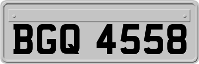 BGQ4558