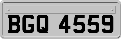 BGQ4559