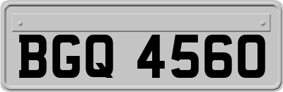 BGQ4560