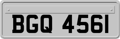 BGQ4561