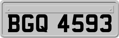BGQ4593