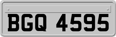 BGQ4595