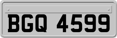 BGQ4599
