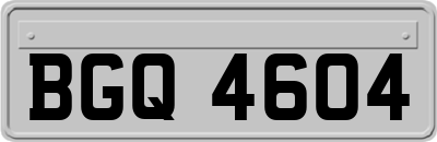 BGQ4604