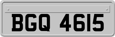 BGQ4615