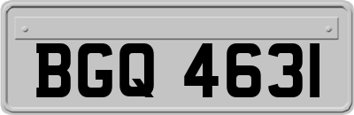 BGQ4631