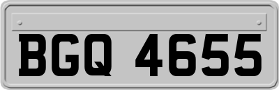 BGQ4655