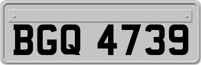 BGQ4739