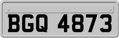 BGQ4873