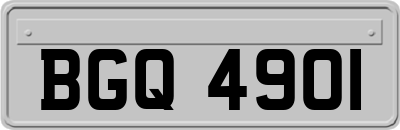BGQ4901