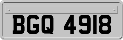 BGQ4918