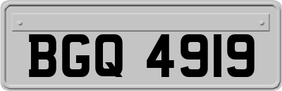 BGQ4919